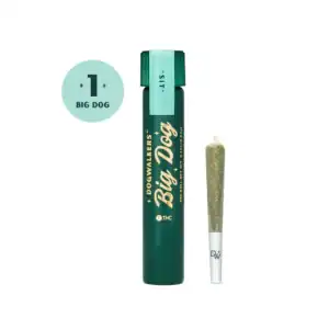 Brownie Scout [.75g]-Dogwalkers