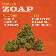 Zoap-Hybrid-Sunburn